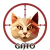 Gato