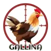 Gallina