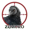 Zamuro