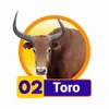 Toro