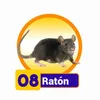 Raton