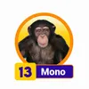 Mono