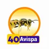Avispa