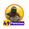 Perezoso