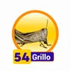 Grillo