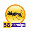 Hormiga