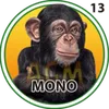Mono
