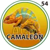 Camaleon