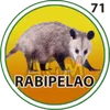 Rabipelado
