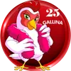 Gallina