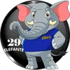 Elefante