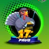 Pavo