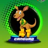 Canguro