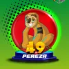 Perezoso