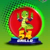 Grillo