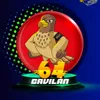 Gavilan