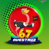 Avestruz