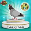 Paloma