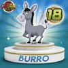 Burro