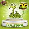 Culebra