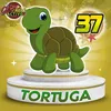 Tortuga
