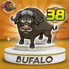 Bufalo