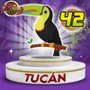 Tucan