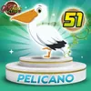 Pelicano