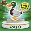 Pato