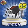 Arana