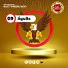 Aguila