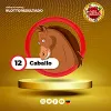 Caballo