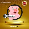 Cochino