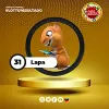 Lapa