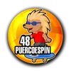 Puercoespin