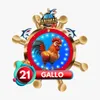 Gallo