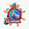 Gallina