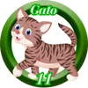 Gato