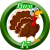 Pavo