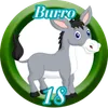 Burro