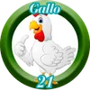 Gallo