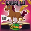 Caballo