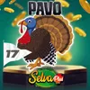 Pavo