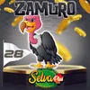Zamuro