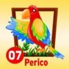Perico