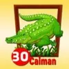 Caiman